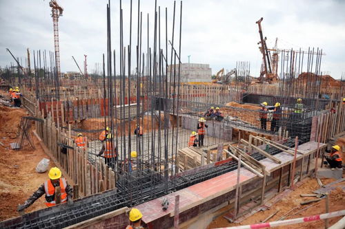 香雪制藥臨空經(jīng)濟區(qū)項目加足馬力全力推進項目建設(shè)